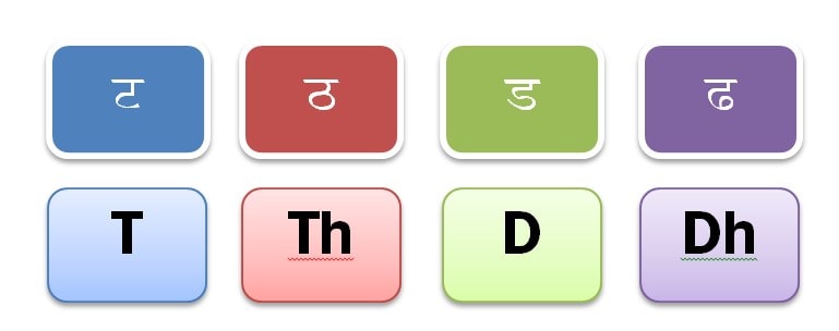 marathi word pitta in english